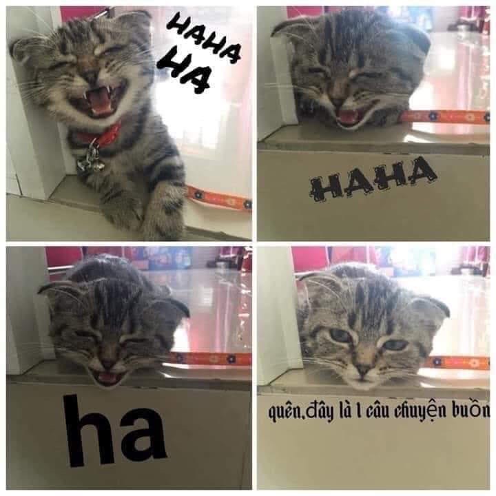 4416C00A-C44E-4F64-A5C5-125A5AAE62FF.jpeg