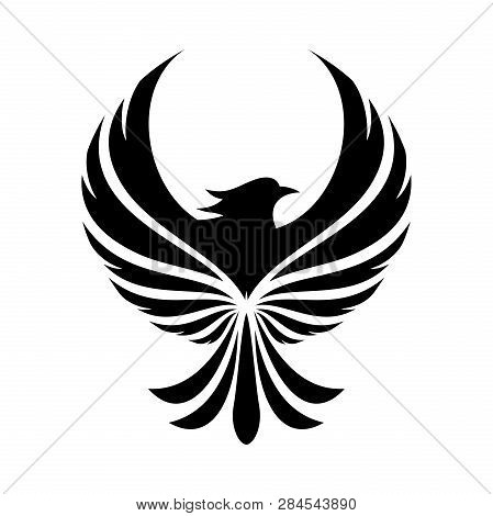 284543890.jpg
