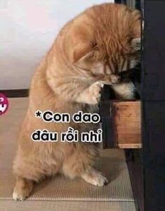 36f5c7cd4c727f5a6cf632d755e020d9.jpg