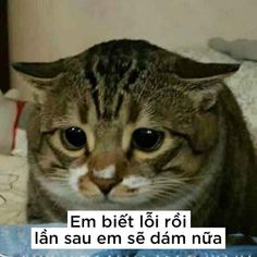 1594910677644.png