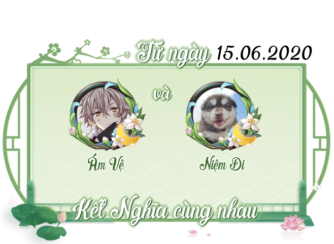 kn-av-nd.png