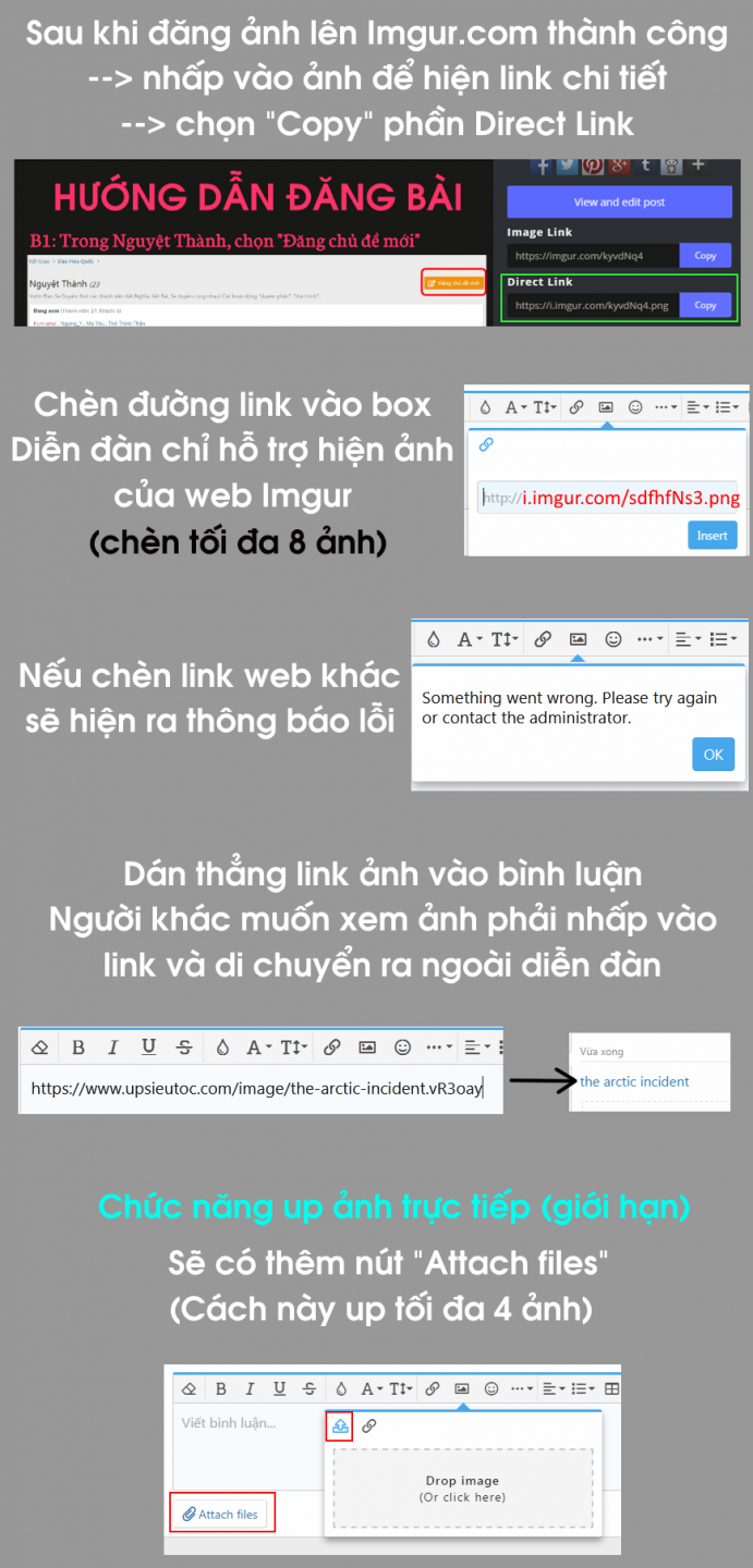 hd-viet-anh.png