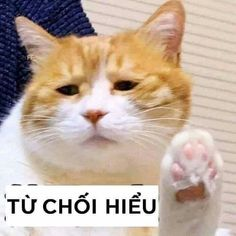 1597589857553.png