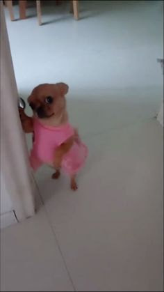 1604399477267.png