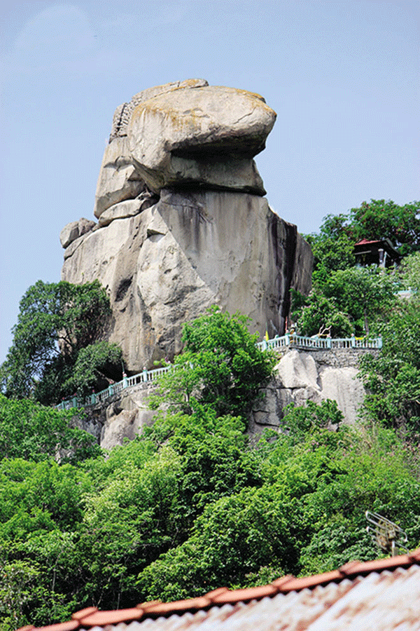 anh vu sơn.gif