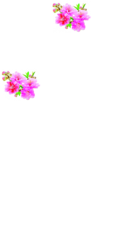 nen-dao-tet-v8.png