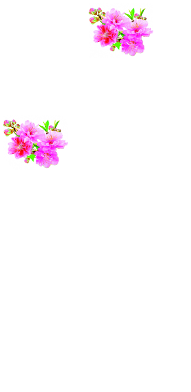 nen-dao-tet-v9.png