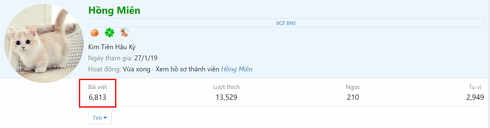 hồng miên.png
