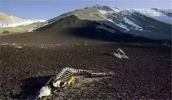 5636