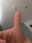 487976E0-7F2B-4168-882B-50D092ADCEB8.jpeg