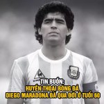 FB_IMG_1606322301136.jpg