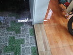 20190901_170723.jpg