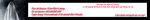 BANNER LE QUY 1.jpg