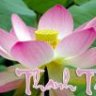 tìm về thực tại