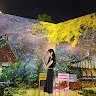 MộNiên