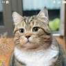 vinhdung