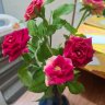 Tẩn mẩn mò truyện
