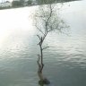 Tiểu tử nghèo