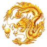 Rồng Con