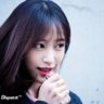 Y_Ninh