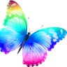 Tiêu_Diễm_Nhi