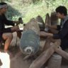 Không Phải Là Tình Yêu