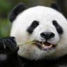 A Xiong