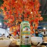 Thiếu niên nhi đồng