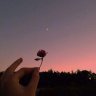 Sunmoon1001