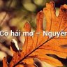 Cô hái mơ