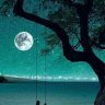 Vọng Nguyệt Vấn Tâm