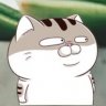 MXT