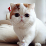 Giản Hạ Thủy