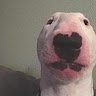 regacc