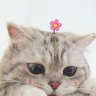 lyminhphuong149