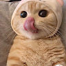 Mọt sách trùng