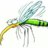 mosquito