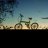 ncn1992vn