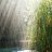 thehien12391