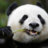 A Xiong