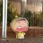 Minmin96