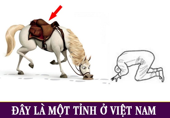 1634006063_lazi_933708.jpg