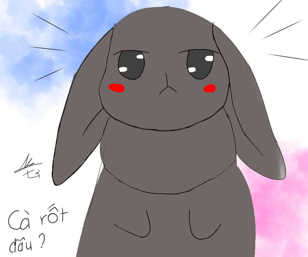tXZv13N.png