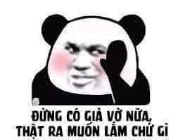 t-i-xu-ng-5.jpg