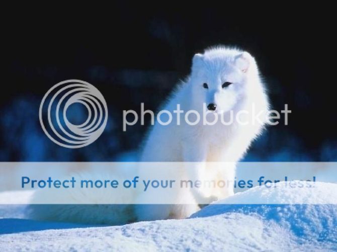 26890799_zps80036e79.jpg