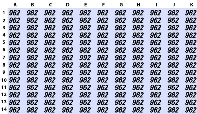 so-1-1707960363850519625312.jpg