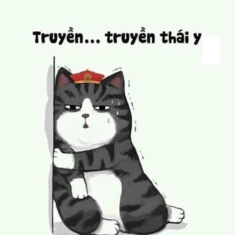 thaiy.jpg