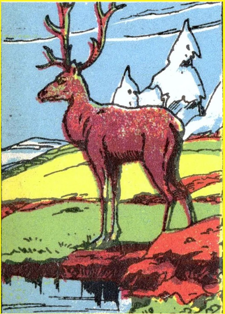 cau-1-17101449057231407160205.jpg