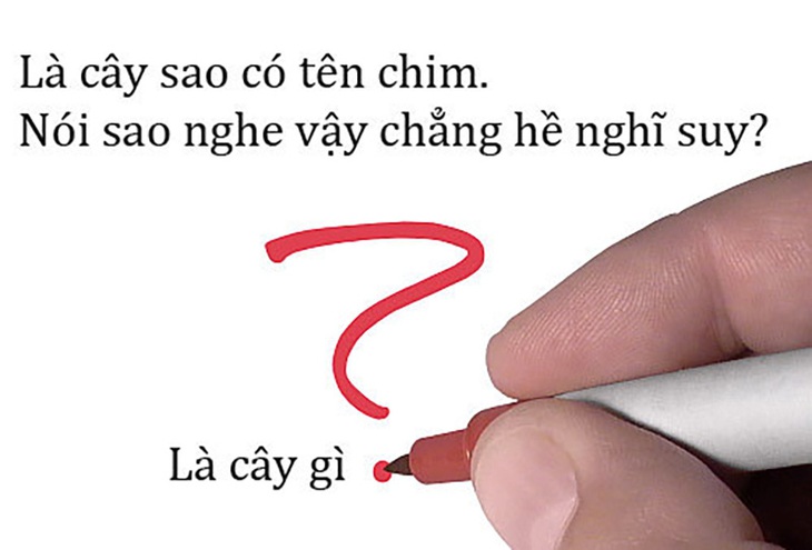 cau-3-1699139291403268217669.jpg