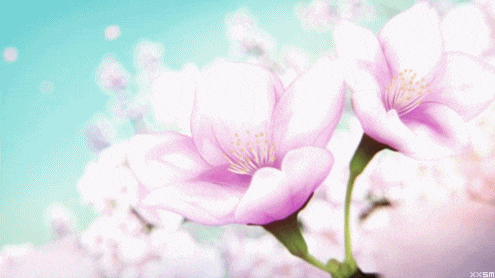 giphy.gif